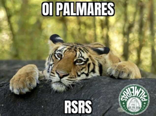 "Palmeiras não tem Mundial": rivais zoam time paulista em memes após derrota para o Tigres na semifinal do Mundial de Clubes