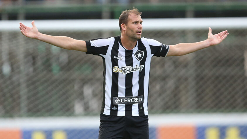 Na equipe comandada por Jair Ventura, Carli foi fundamental na campanha de recuperação do Botafogo no Brasileirão que resultou em uma vaga na Libertadores do ano seguinte,