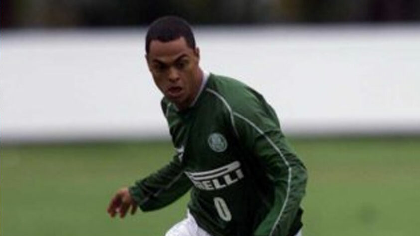 Pelo Palmeiras, Dodô jogou o ano de 2002, no qual não conseguiu atender às expectativas do clube, jogando pouco por problemas com lesões. O Verdão acabou o ano rebaixado e o atacante saiu no ano seguinte. Ao todo, ele tem apenas 16 jogos pela equipe, com três gols marcados.  