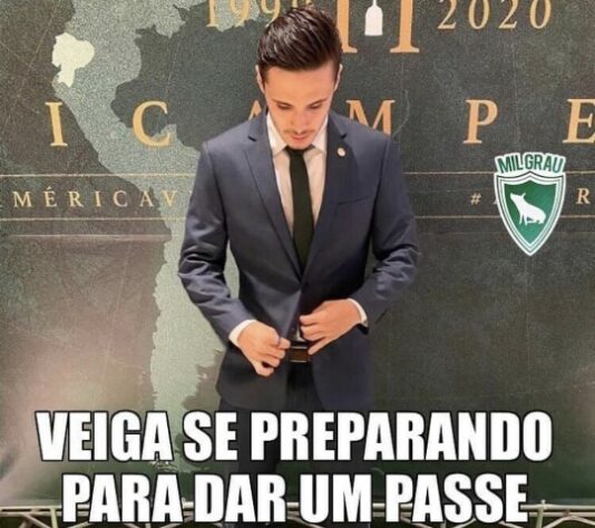 Copa do Brasil: torcedores do Palmeiras tiram onda após conquista sobre o Grêmio