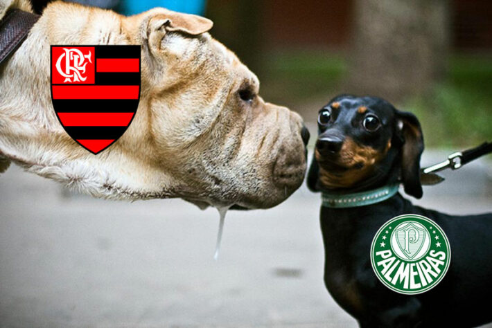 Supercopa do Brasil: os memes e zoeiras da final entre Flamengo e Palmeiras