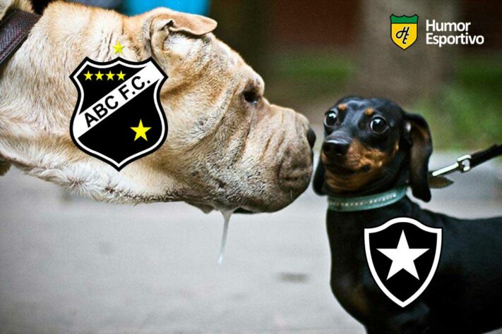 Copa do Brasil: os melhores memes da eliminação do Botafogo para o ABC-RN