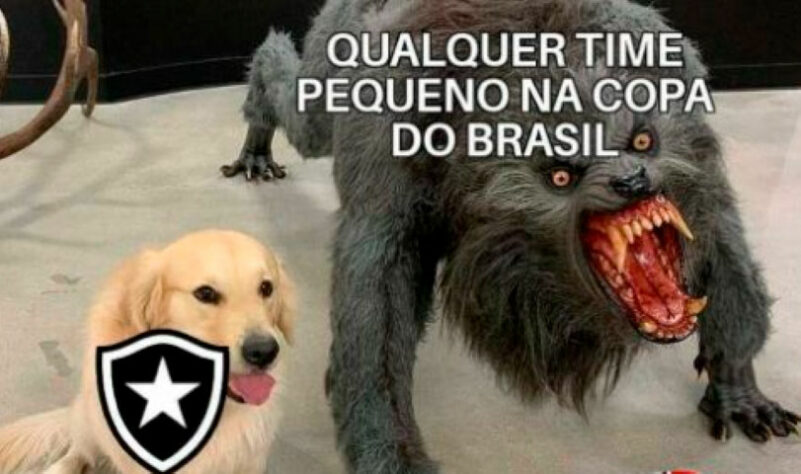 Copa do Brasil: os melhores memes da eliminação do Botafogo para o ABC-RN