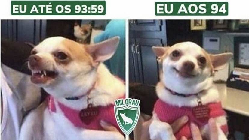 Libertadores da América: os memes de Universitario 2 x 3 Palmeiras