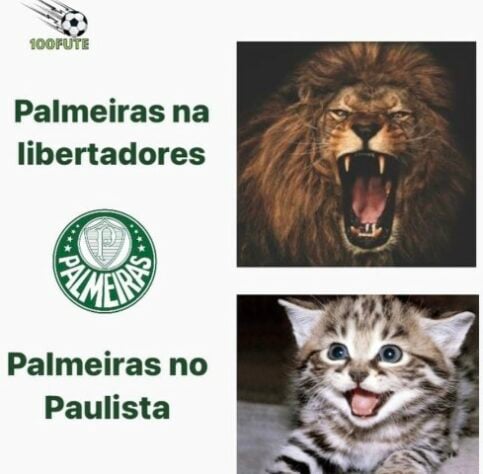 Libertadores da América: os melhores memes de Palmeiras 5 x 0 Independiente del Valle
