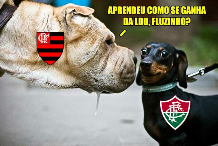 Libertadores da América: rubro-negros fazem memes comemorando vitória sobre a LDU e 100% na Libertadores