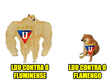 Libertadores da América: rubro-negros fazem memes comemorando vitória sobre a LDU e 100% na Libertadores