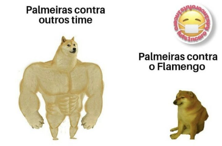 Brasileirão: os melhores memes de Flamengo 1 x 0 Palmeiras