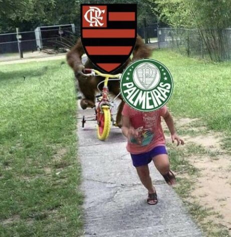 Brasileirão: os melhores memes de Flamengo 1 x 0 Palmeiras