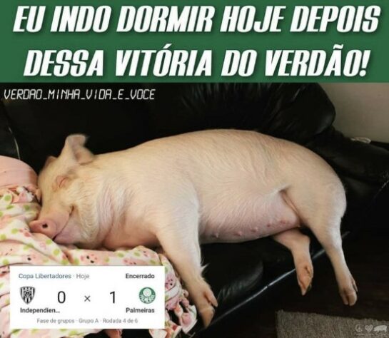 Libertadores da América: os melhores memes de Independiente del Valle 0 x 1 Palmeiras