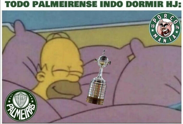 Libertadores da América: os melhores memes de Independiente del Valle 0 x 1 Palmeiras