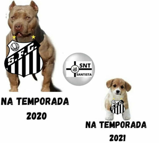 Brasileirão: os melhores memes de Bahia 3 x 0 Santos