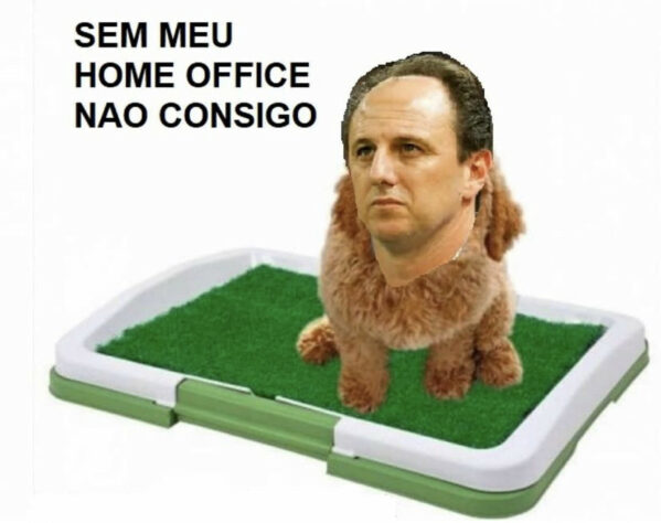 Brasileirão: os melhores memes de Flamengo 2 x 3 RB Bragantino