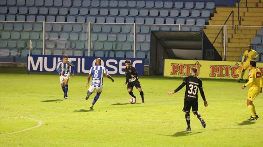 Neste sábado, o Botafogo empatou com o Avaí por 1 a 1 no Estádio da Ressacada. Com gol de Marco Antônio, o Alvinegro conseguiu empatar o placar nos minutos finais. Confira a nota dos jogadores a seguir. (Por Ana Daróz; anapereira@lancenet.com.br)