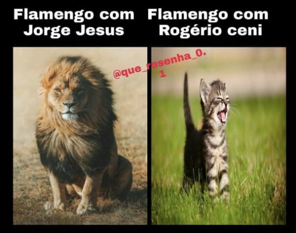 Brasileirão: os melhores memes de Atlético-MG 2 x 1 Flamengo