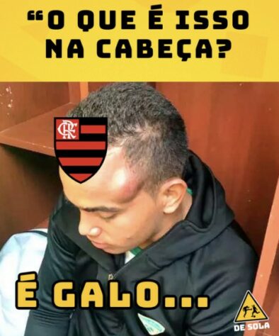 Brasileirão: os melhores memes de Atlético-MG 2 x 1 Flamengo