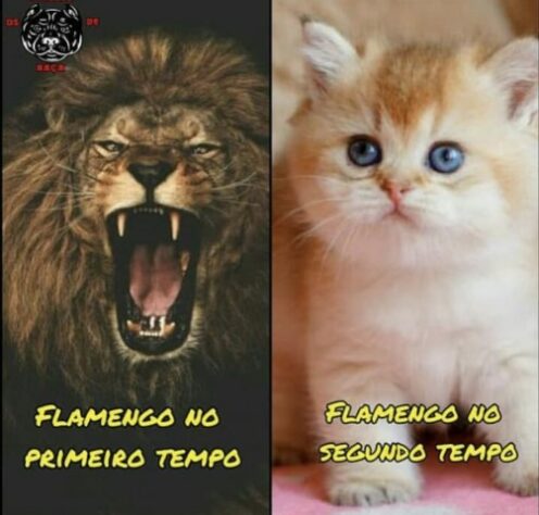 Brasileirão: os melhores memes de Flamengo 0 x 1 Fluminense, na Neo Química Arena