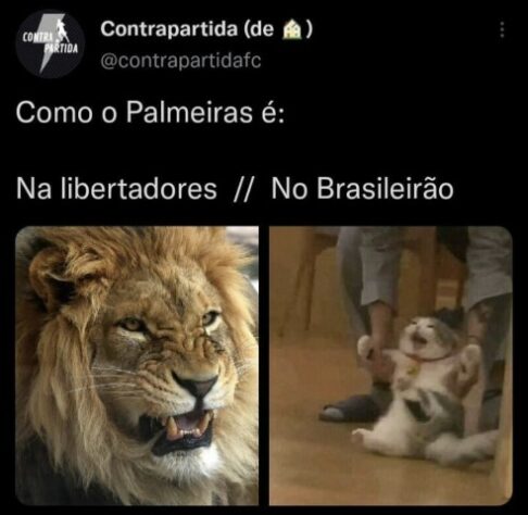 Brasileirão: derrota do Palmeiras para o Cuiabá rendeu diversos memes na web