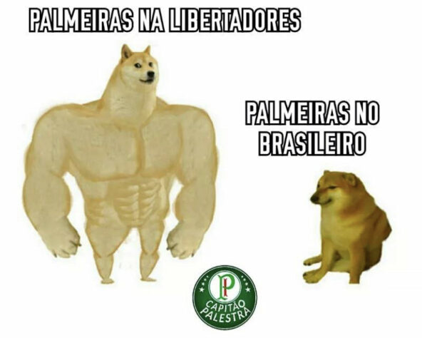 Brasileirão: derrota do Palmeiras para o Cuiabá rendeu diversos memes na web