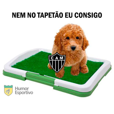 Tentativa frustrada de anulação do jogo contra o Palmeiras pela Libertadores faz Galo ser alvo de memes nas redes sociais.