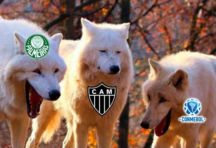 Tentativa frustrada de anulação do jogo contra o Palmeiras pela Libertadores faz Galo ser alvo de memes nas redes sociais.