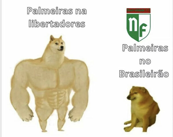 Brasileirão: os melhores memes de América-MG 2 x 1 Palmeiras