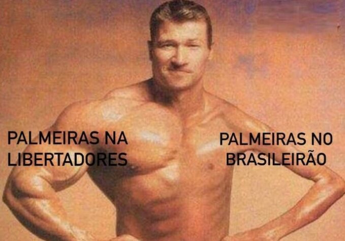 Brasileirão: os melhores memes de América-MG 2 x 1 Palmeiras