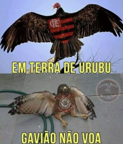 Brasileirão: os melhores memes de Flamengo 1 x 0 Corinthians