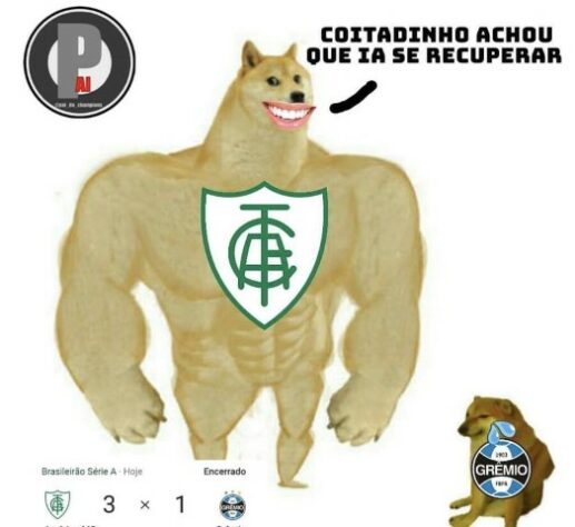 Brasileirão: os melhores memes de América-MG 3 x 1 Grêmio