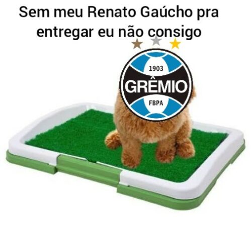 Brasileirão: próximo de rebaixamento para Série B, Grêmio sofre com os memes na web.