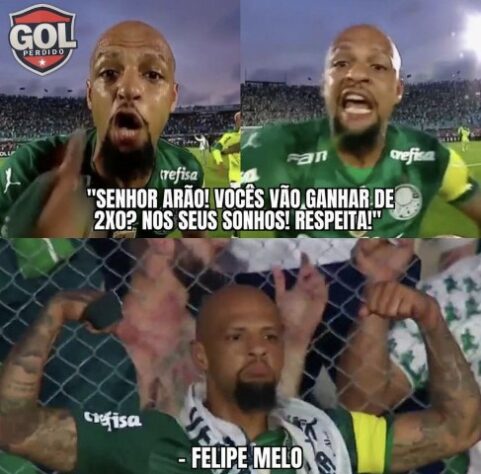 Palmeiras: classificação para a final da Libertadores gera memes