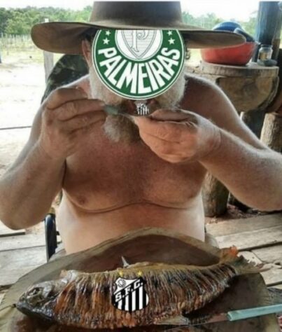 Brasileirão: os melhores memes de Santos 0 x 2 Palmeiras