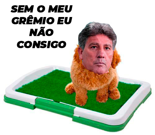 Demissão de Renato Gaúcho do Flamengo rende memes nas redes sociais.