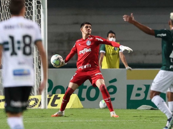 Vinicius Silvestre (Goleiro) - Time: Palmeiras - Jogos: 0 - 28 anos - Contrato até 31/12/2024 - Situação: Terceiro goleiro - Valor de mercado: 400 mil euros (R$ 2,1 milhões)