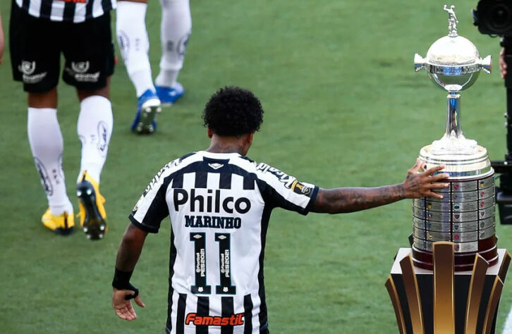 Final doída - No dia da decisão da Libertadores, em 30 de janeiro, Santos e Palmeiras fizeram uma final equilibrada, com os dois times visando, prioritariamente, não errar. Porém, nos últimos segundos do segundo tempo, o Peixe sofreu o gol que culminou no seu vice campeonato.