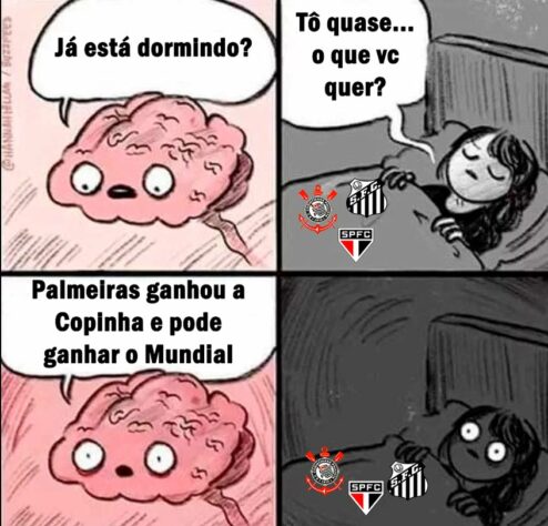 Palmeiras tem Copinha! Torcedores fazem memes com a conquista inédita sobre o Santos.