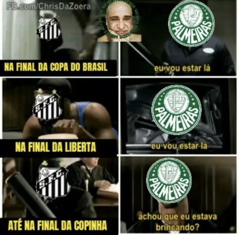 Palmeiras tem Copinha! Torcedores fazem memes com a conquista inédita sobre o Santos.