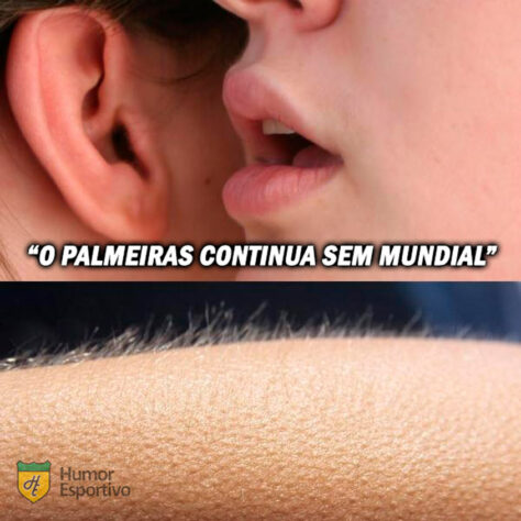 Palmeiras não tem Mundial: torcedores fazem memes após derrota do Verdão para o Chelsea.