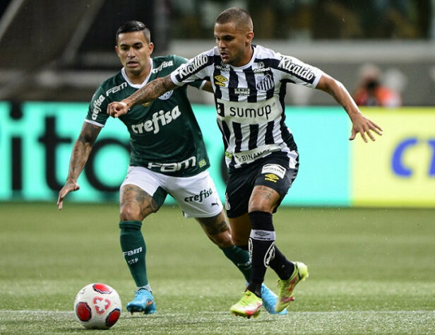 Onde assistir Santos x Palmeiras na TV: ainda não definido pelos canais