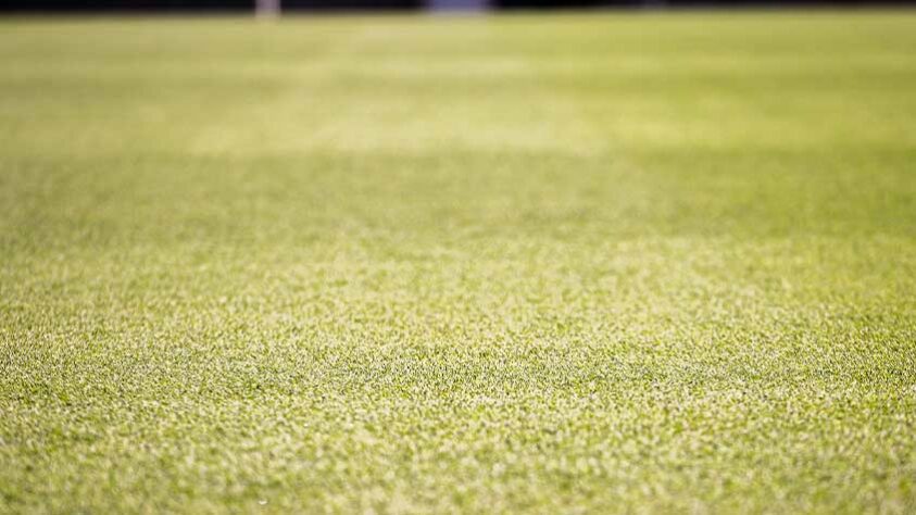 O gramado sera híbrido (grama natural reforçada por fibras sintéticas), a mesma que a maioria dos estádios europeus vem adotando.