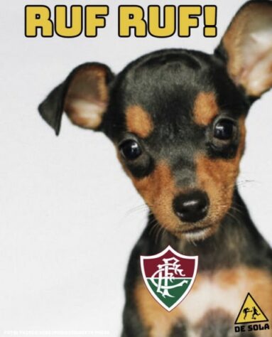 Faz o L de eLiminado, Virgem das Américas e provocações a Felipe Melo: Fluminense vira piada e sofre com memes após eliminação precoce na Libertadores.