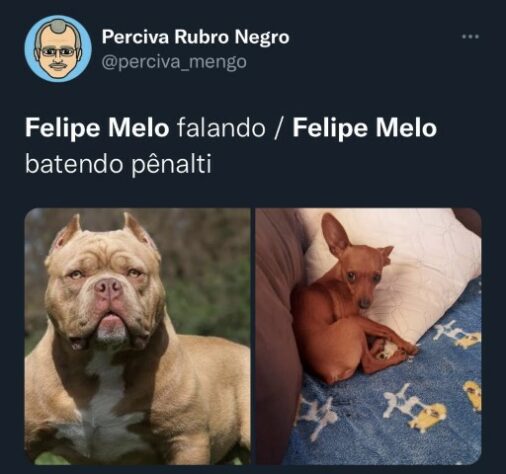 Web não perdoa Felipe Melo em memes após adeus precoce do Fluminense na Libertadores.