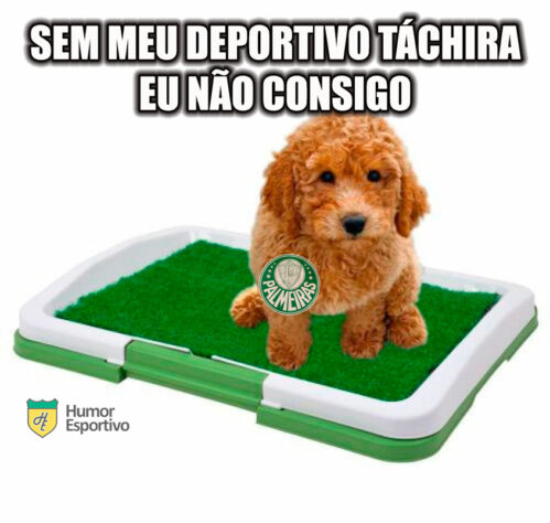 Brasileirão: os melhores memes de Palmeiras 2 x 3 Ceará