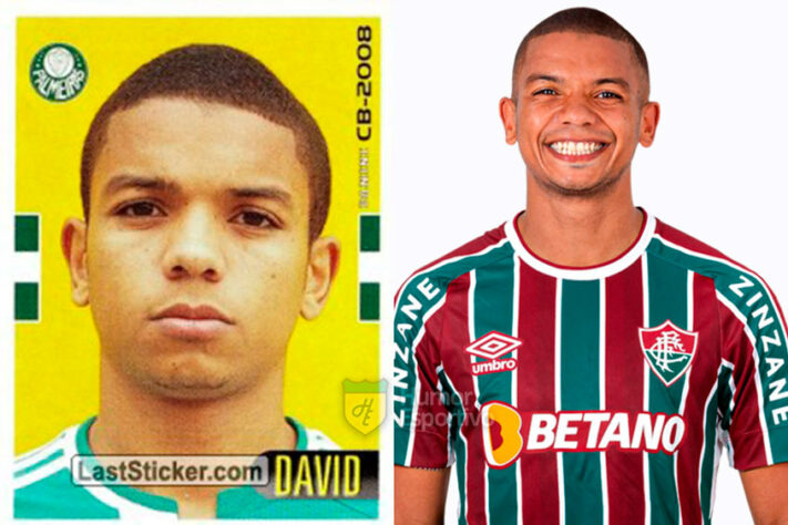 David Braz no álbum do Campeonato Brasileiro de 2008 com a camisa do Palmeiras. Com 34 anos, ele disputa a Série A do Brasileirão pelo Fluminense.