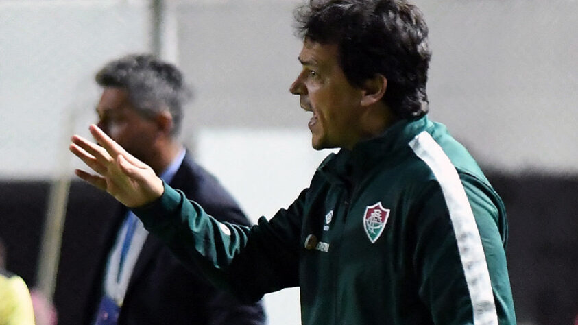 Quando o Fluminense acertou a contratação do técnico Fernando Diniz, Sormani se posicionou de forma contrária e criticou o treinador: "Você fala bem dele quando ele está no outro time. Quando ele está no seu time, você não quer nem ver", disse.
