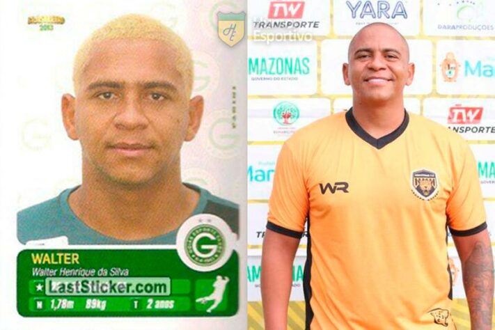 Walter no álbum do Campeonato Brasileiro de 2013 com a camisa do Goiás. Com 32 anos, ele disputa a Série D do Brasileirão pelo Amazonas.