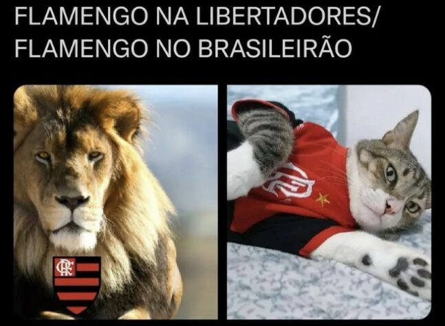 Libertadores: os memes de Flamengo 3 x 0 Universidad Católica