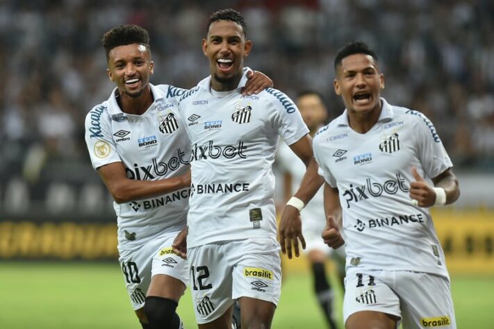 Porcentagem de torcedores do Santos entre 16 e 34 anos em 2021: 45% - Porcentagem de torcedores do Santos entre 34 e 54 anos em 2021: 31% - Porcentagem de torcedores do Santos acima de 55 anos em 2021: 23%