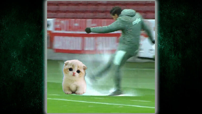 Teve torcedor que fez até montagem mostrando Abel Ferreira agredindo um pobre gatinho.