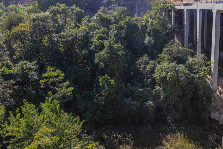 O Atlético-MG também é obrigado a preservar uma área ambiental próxima ao estádio de 26 mil m².